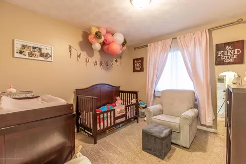 1237 Sandhill Dr, Dewitt, MI 48820 photo 13