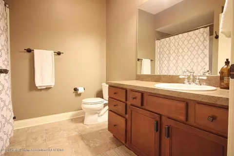 1047 Oakwood, Dewitt, MI 48820 photo 18
