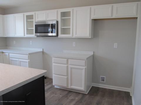 13865 Bauerle Rd, Dewitt, MI 48820 photo 9