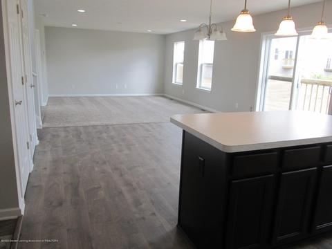 13865 Bauerle Rd, Dewitt, MI 48820 photo 6