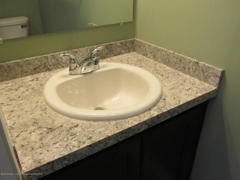 13865 Bauerle Rd, Dewitt, MI 48820 photo 12