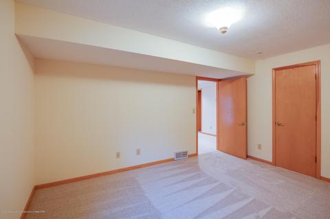 4390 Carmine Ct, Dewitt, MI 48820 photo 32