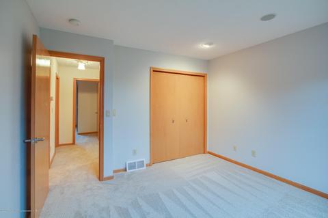 4390 Carmine Ct, Dewitt, MI 48820 photo 20