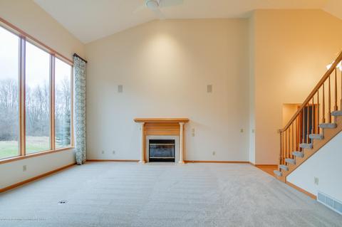 4390 Carmine Ct, Dewitt, MI 48820 photo 6
