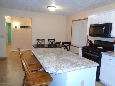 6334 Green Rd, Haslett, MI 48840 photo 7