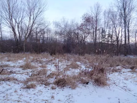 6334 Green Rd, Haslett, MI 48840 photo 24