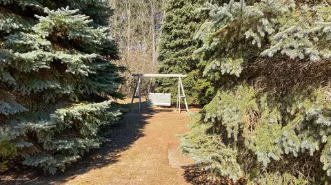2213 E Hyde Rd, Saint Johns, MI 48879 photo 63