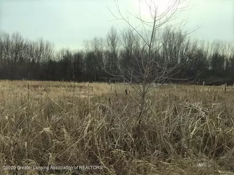 5550 Ballantine Rd, Bath, MI 48808 photo 15