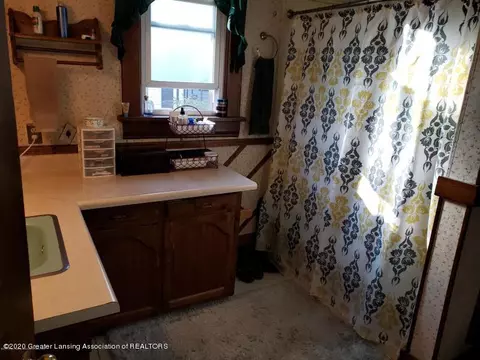 160 E Pine St, Elsie, MI 48831 photo 22