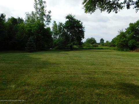3293 Rolfe Rd, Mason, MI 48854 photo 29