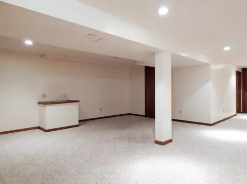 507 Manchester Dr, Dewitt, MI 48820 photo 20
