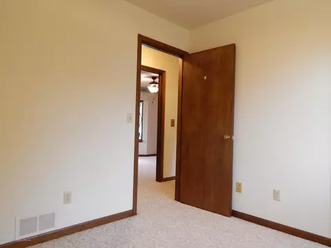 507 Manchester Dr, Dewitt, MI 48820 photo 16