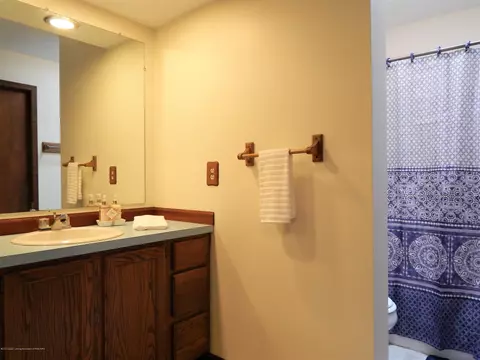 507 Manchester Dr, Dewitt, MI 48820 photo 14