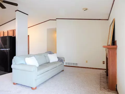 507 Manchester Dr, Dewitt, MI 48820 photo 5