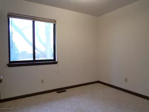 507 Manchester Dr, Dewitt, MI 48820 photo 15