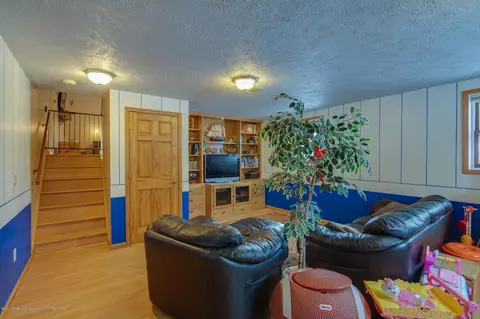 1205 Redpole Dr, Dewitt, MI 48820 photo 19