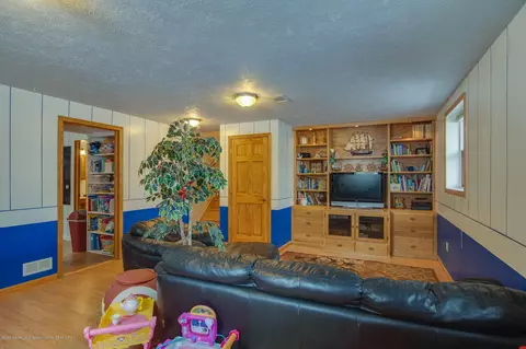 1205 Redpole Dr, Dewitt, MI 48820 photo 20