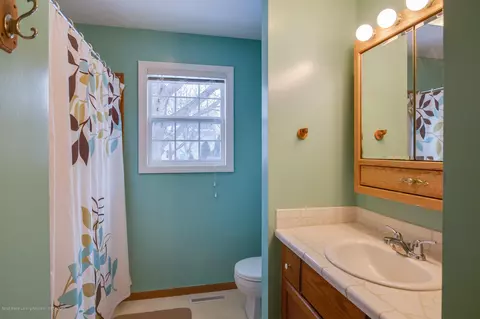 1205 Redpole Dr, Dewitt, MI 48820 photo 17
