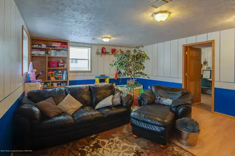 1205 Redpole Dr, Dewitt, MI 48820 photo 21