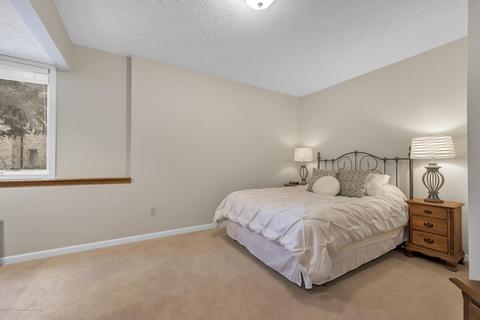 402 Shoreline Dr, Dewitt, MI 48820 photo 41