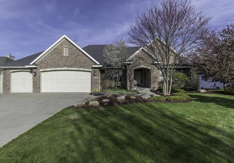13239 Blaisdell, Dewitt, MI 48820 photo 1