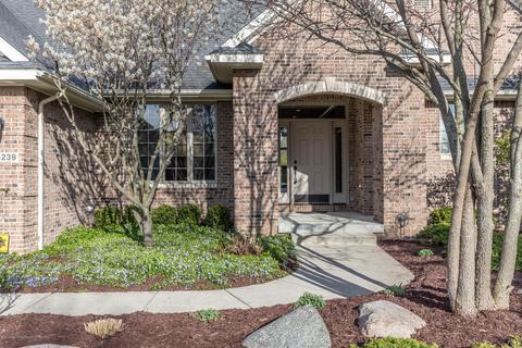 13239 Blaisdell, Dewitt, MI 48820 photo 2