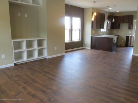 13800 Bauerle Rd, Dewitt, MI 48820 photo 3