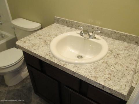 13800 Bauerle Rd, Dewitt, MI 48820 photo 24