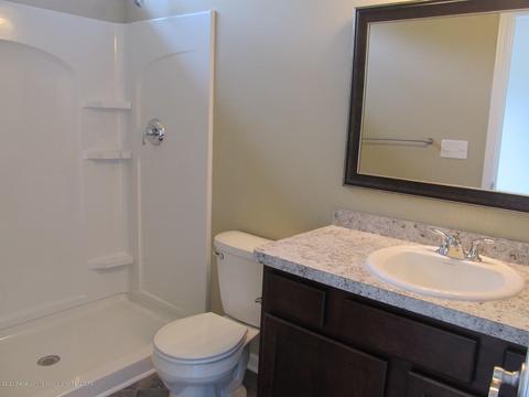 13800 Bauerle Rd, Dewitt, MI 48820 photo 19