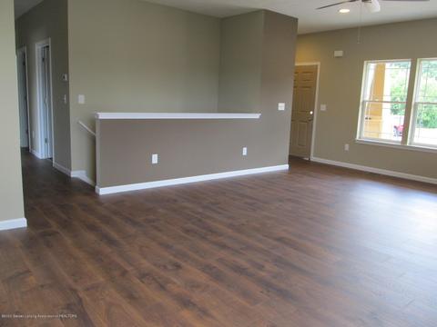 13800 Bauerle Rd, Dewitt, MI 48820 photo 14