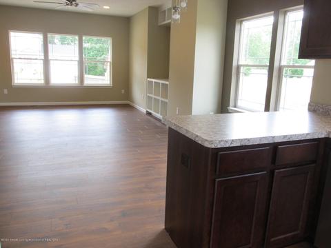 13800 Bauerle Rd, Dewitt, MI 48820 photo 13
