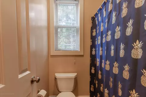 11294 Autumn Mdws, Dewitt, MI 48820 photo 23