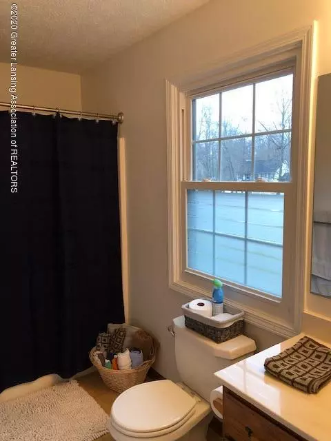 6376 Pleasant River Dr, Dimondale, MI 48821 photo 31