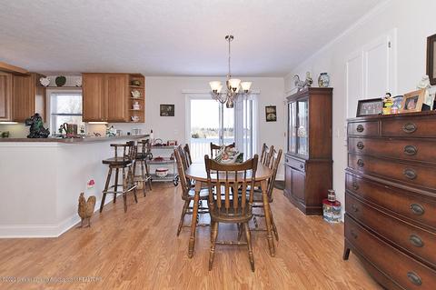 9555 M-52, Perry, MI 48872 photo 7