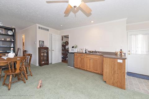 9555 M-52, Perry, MI 48872 photo 13