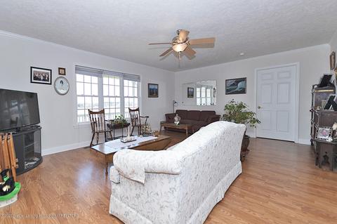 9555 M-52, Perry, MI 48872 photo 6