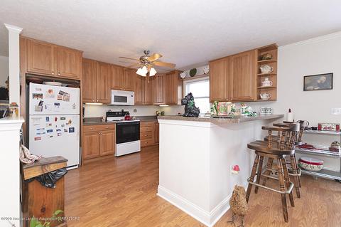 9555 M-52, Perry, MI 48872 photo 8