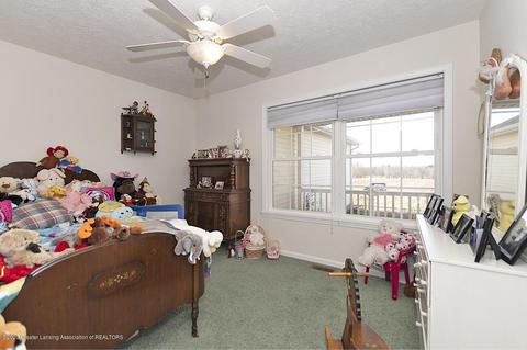 9555 M-52, Perry, MI 48872 photo 17