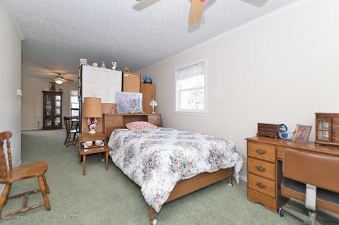 9555 M-52, Perry, MI 48872 photo 14