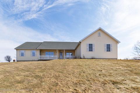 9555 M-52, Perry, MI 48872 photo 1
