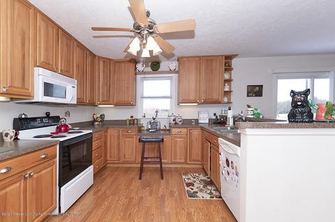 9555 M-52, Perry, MI 48872 photo 9