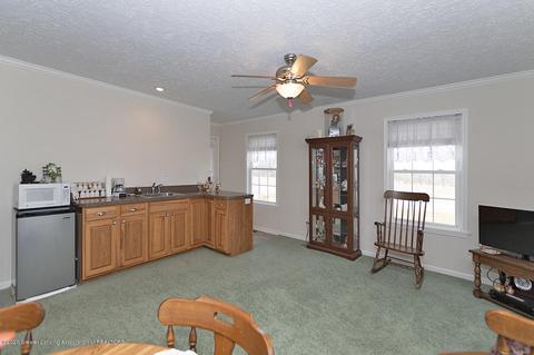 9555 M-52, Perry, MI 48872 photo 11