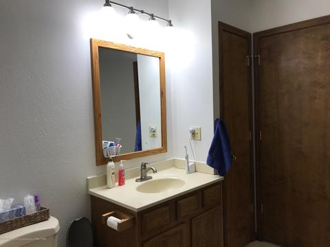 1253 Andre Ave, Charlotte, MI 48813 photo 29