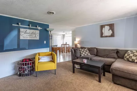 907 Pine St, Dewitt, MI 48820 photo 4
