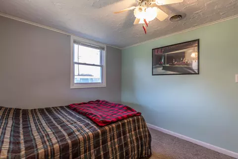 907 Pine St, Dewitt, MI 48820 photo 13