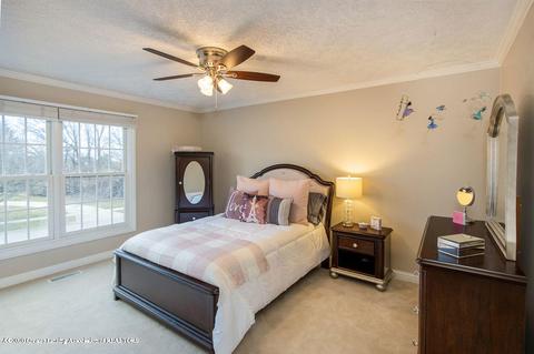 2030 Timberview Dr, Okemos, MI 48864 photo 50