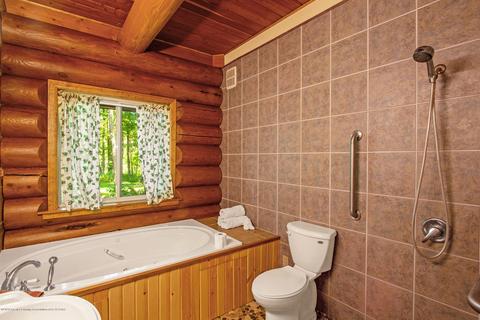 1454 Roshowa Ter, Lyons, MI 48851 photo 13