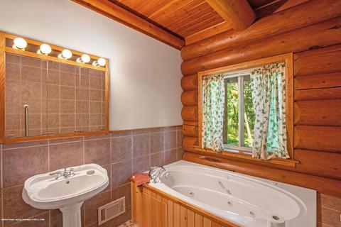 1454 Roshowa Ter, Lyons, MI 48851 photo 14