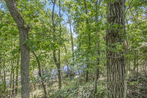 1454 Roshowa Ter, Lyons, MI 48851 photo 36