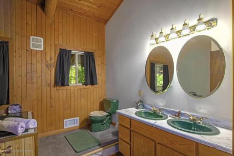 1454 Roshowa Ter, Lyons, MI 48851 photo 26